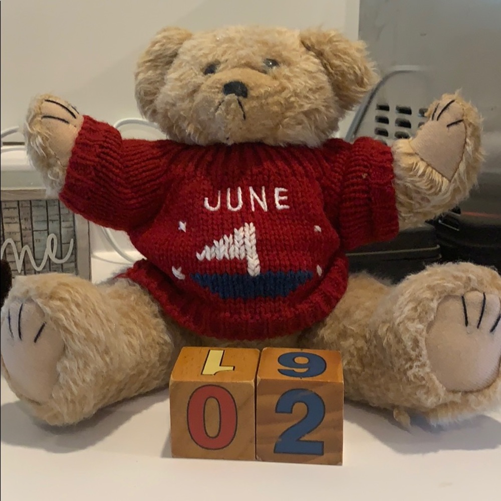 Monthly sweater bear